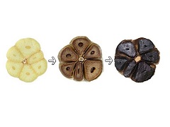 toi-den-orihiro-nhat-ban-dang-vien