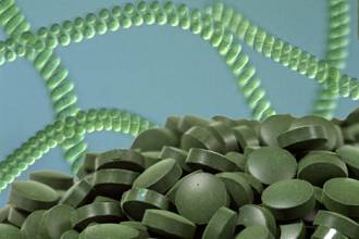 tao-xoan-chlorella-royal-dx-nhat-ban-1550-vien