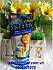 kem-chong-nang-shiseido-anessa-perffect-essence-sunscreen-gel-spf50-pa